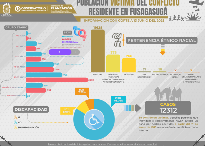 población victima de conflicto-3